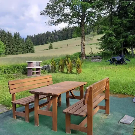Apartment Carlsfeld Mit Terrasse, Garten, Grill Eibenstock