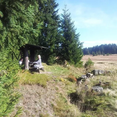 Am Skihang Og Eibenstock
